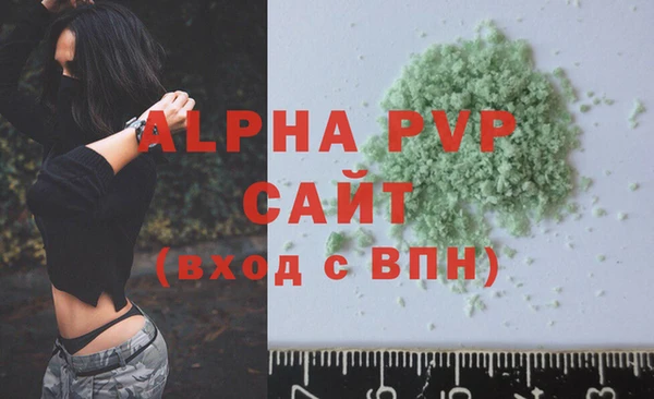 СК Алексин